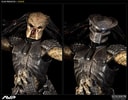 Scar Predator Collector Edition View 2