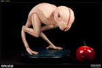 Dren View 3