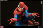 Spider-Man Exclusive Edition View 3