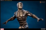 Spider-Man (Prototype Shown) View 7