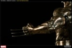 Wolverine View 8
