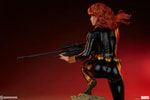 Black Widow Collector Edition 