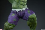 Hulk Collector Edition View 11