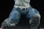 Grey Hulk Exclusive Edition (Prototype Shown) View 7