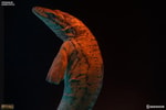 Mosasaur Amber View 15