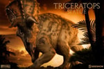 Triceratops Collector Edition View 1