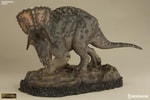 Triceratops Collector Edition View 5