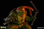 Michelangelo Collector Edition View 26