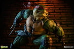 Raphael Collector Edition View 16