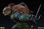 Raphael Collector Edition View 18