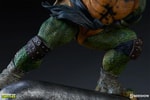 Raphael Collector Edition View 12