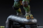 Raphael Collector Edition View 11
