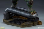 Raphael Collector Edition View 8