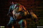 Raphael Collector Edition View 4