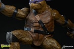 Donatello Collector Edition View 16