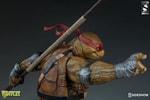 Donatello Exclusive Edition View 3