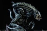 Alien Warrior View 12