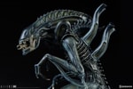 Alien Warrior View 13