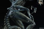 Alien Warrior View 16