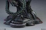 Alien Warrior View 19