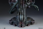Alien Warrior View 20