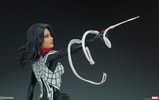 Silk Collector Edition View 16