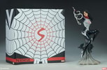 Silk Collector Edition View 23