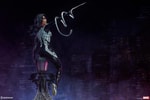 Silk Collector Edition View 24