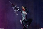 Silk Collector Edition View 25