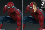 Spider-Man Exclusive Edition View 2