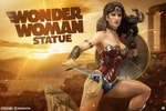Wonder Woman Collector Edition (Prototype Shown) View 1