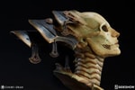 Xiall The Resolve of Bone
