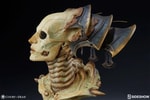 Xiall The Resolve of Bone