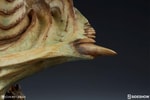 Xiall The Resolve of Bone