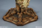 Xiall The Resolve of Bone