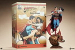 Superman and Lois Lane (Prototype Shown) View 23