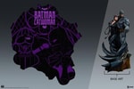 Batman and Catwoman View 18