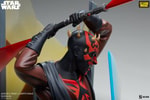 Ahsoka Tano vs Darth Maul (Prototype Shown) View 14