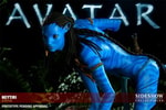 Neytiri Collector Edition View 6