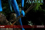 Neytiri Collector Edition View 7