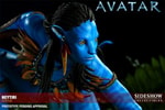 Neytiri Collector Edition View 8
