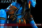 Neytiri Collector Edition View 11