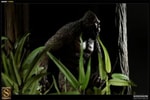 Bigfoot Collector Edition 
