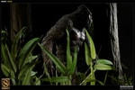 Bigfoot