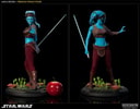 Aayla Secura Collector Edition View 3