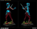 Aayla Secura Collector Edition View 4