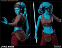 Aayla Secura Collector Edition View 5
