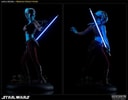 Aayla Secura Collector Edition View 6