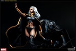 Storm Collector Edition View 8