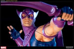 Hawkeye Collector Edition View 5